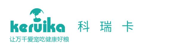 狗狗衣服怎么做好,狗狗做衣服的简单方法