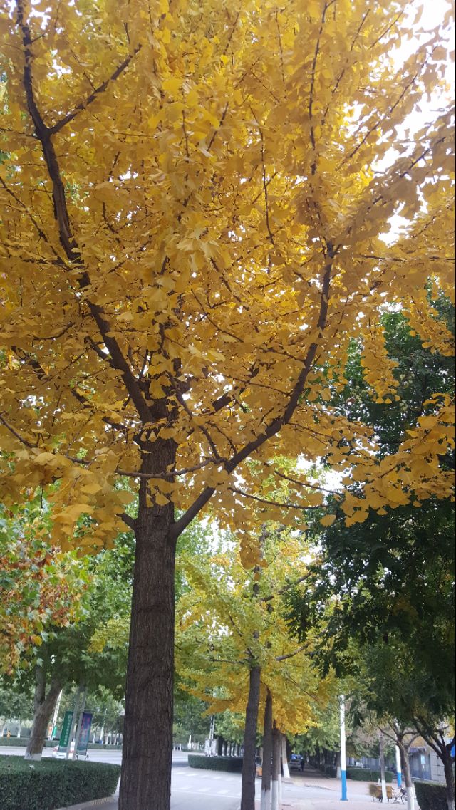 华为mate20pro现在还能买吗,华为mate20pro还可以入手吗