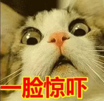 ugg被处罚后续,ugg被罚最新消息