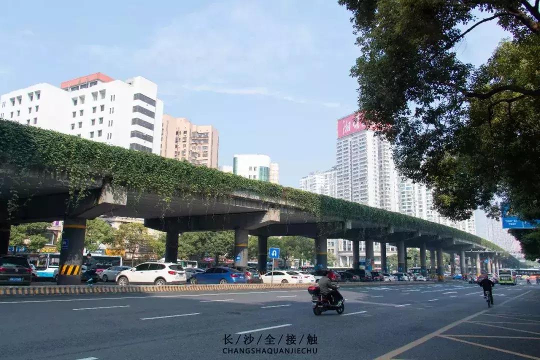 有一种生活叫桐乡,有一种生活叫嘉兴