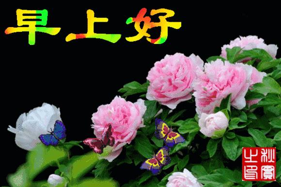 清晨早上好问候祝福动态表情图片,早上最打动人心的问候动态图片