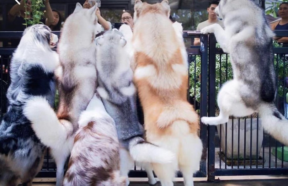 长发美美Sia丫丫带你游遍纸醉金迷曼谷小清新清迈