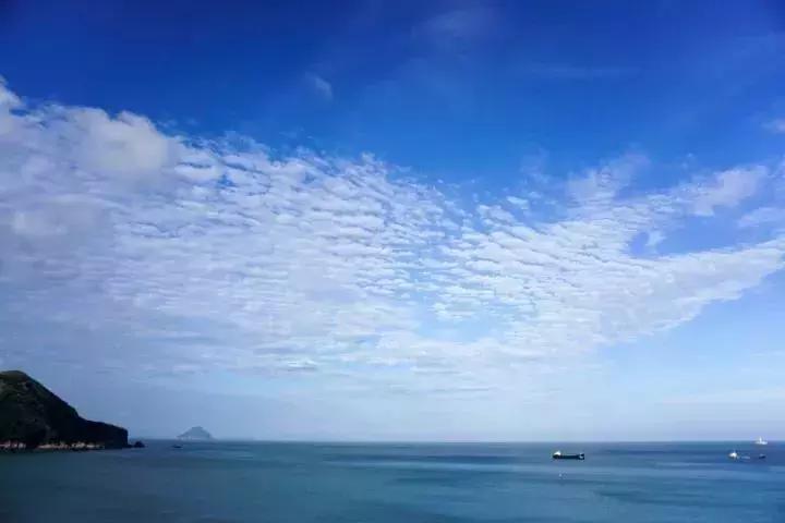 小夫妻卖掉老家房子,小夫妻卖掉房子去内蒙古