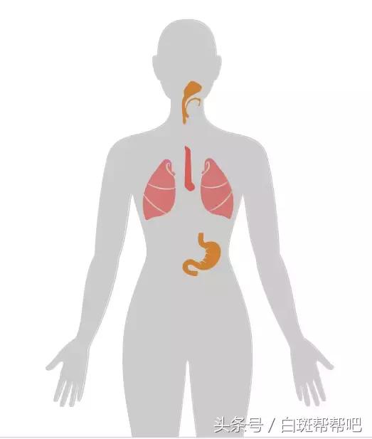 李咏是因为癌症死亡的吗,李咏得的啥癌症为什么葬在美国