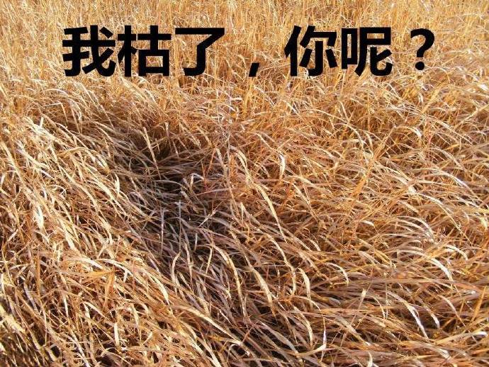 看好莱坞大片的观影反应,必看美国好莱坞大片