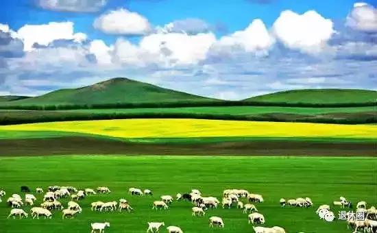 中国各省特产美食一览表,中国各地适合送礼特产一览表