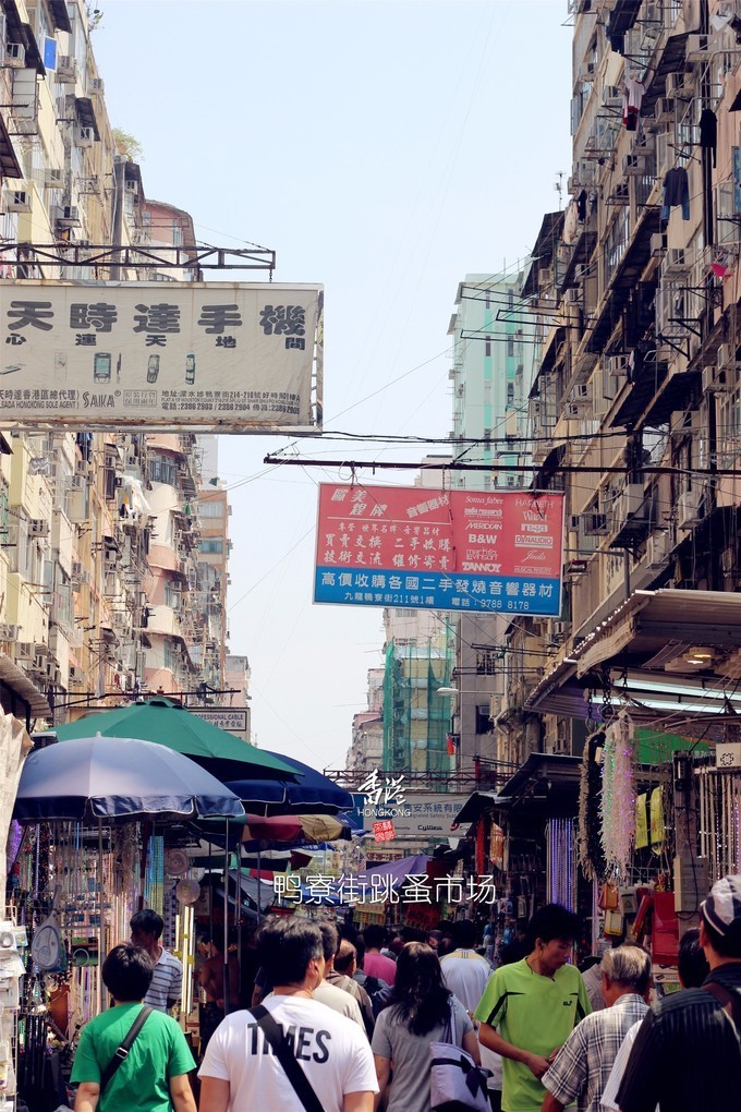 东方之珠浪漫依然,东方之珠粤语香港回归