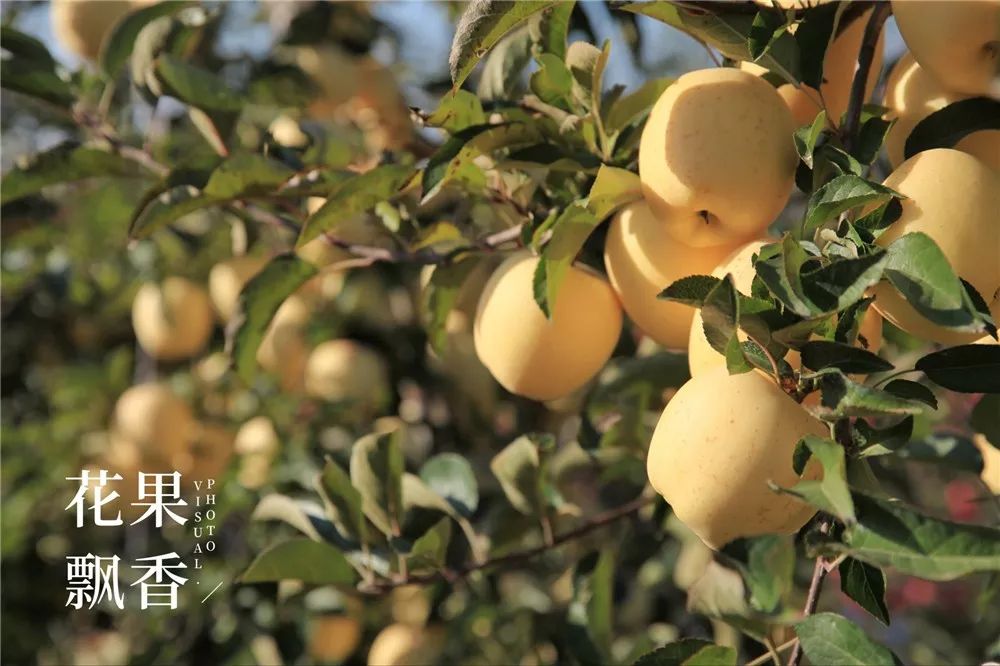 椋庡Э濞撮泤缁扮害澶氬Э,椋庡Э缁扮害娓╁杩蜂汉