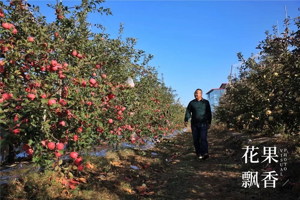 椋庡Э濞撮泤缁扮害澶氬Э,椋庡Э缁扮害娓╁杩蜂汉