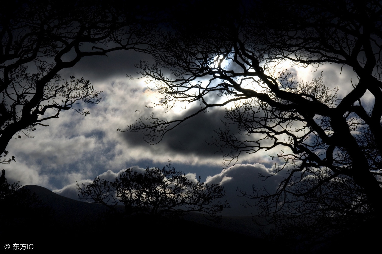 宋词300首精选短篇大全,宋词三百首精选大全