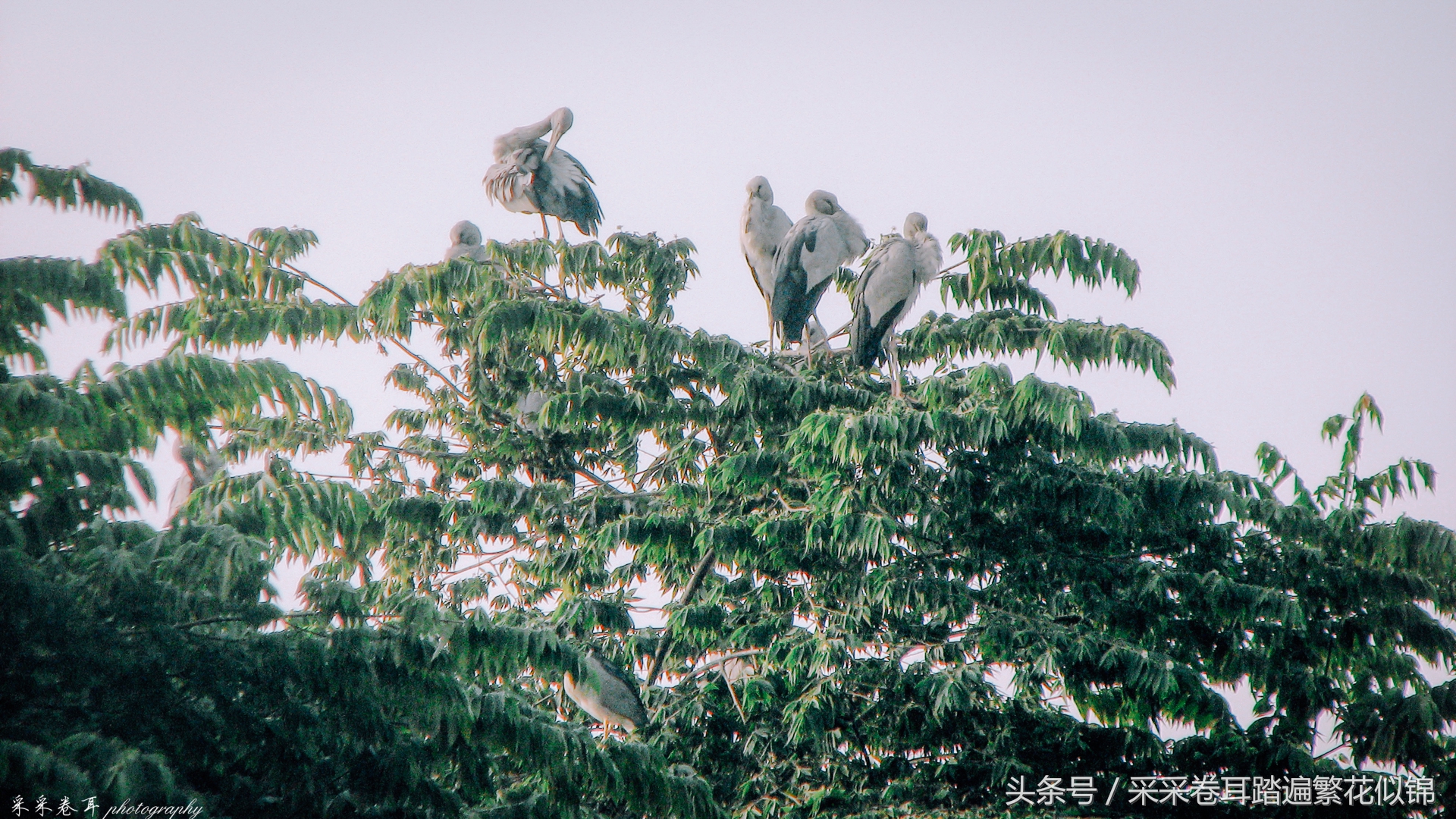 瑞丽夜晚打卡景点有哪些,瑞丽去哪里看风景