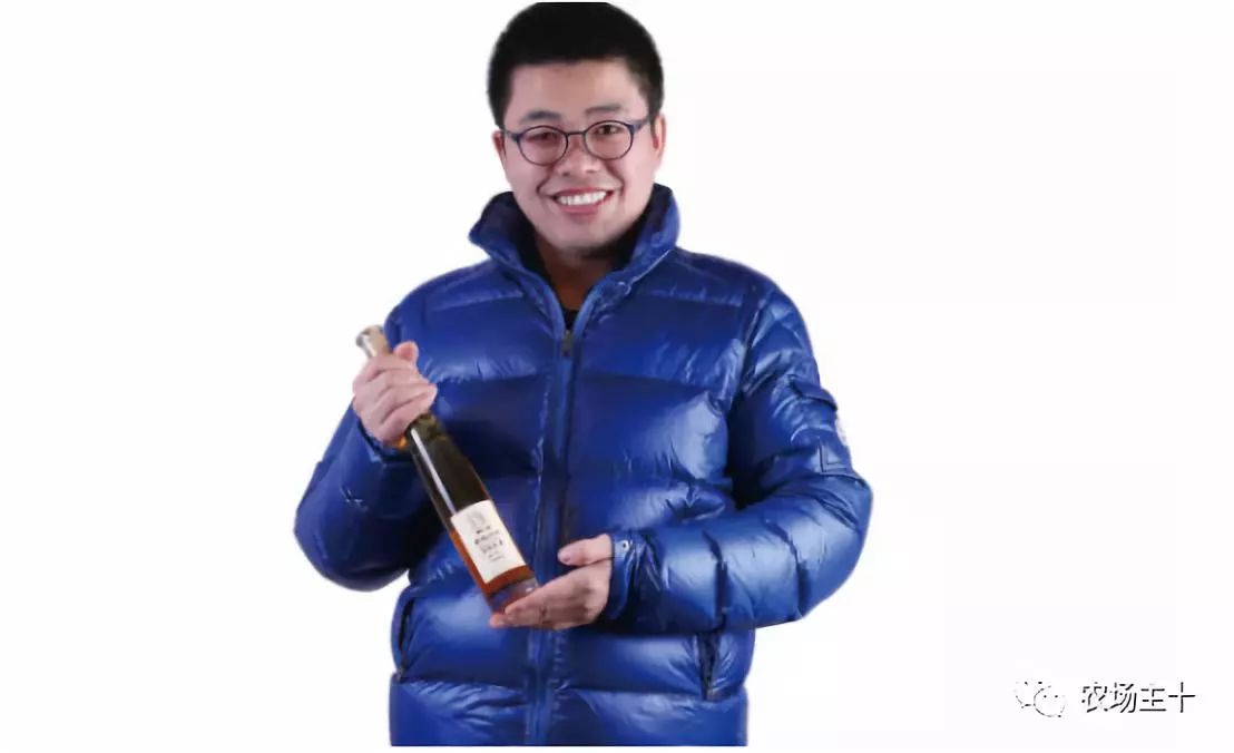 他用一块地做火2个产业，在冰葡萄田里把黑豆卖出4000万