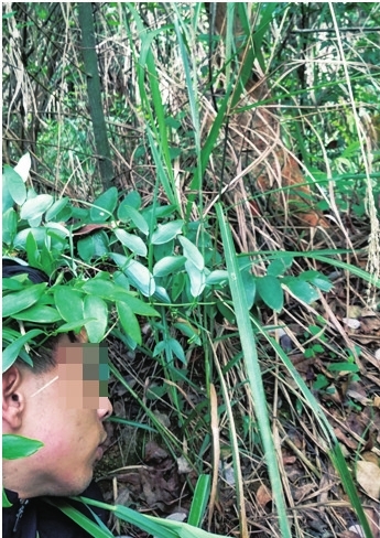 河南广东两省公安、*草烟**部门联手撕破山*特中**大制售假烟网络