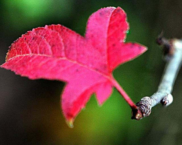 人生最不希望去的五个地方,做人想不开