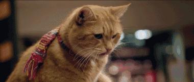 十一月这份片单,我敲锣打鼓的告诉你