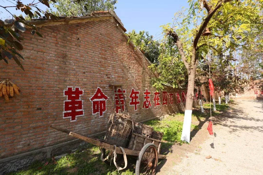 知青回沙河完整视频,北京沙河知青