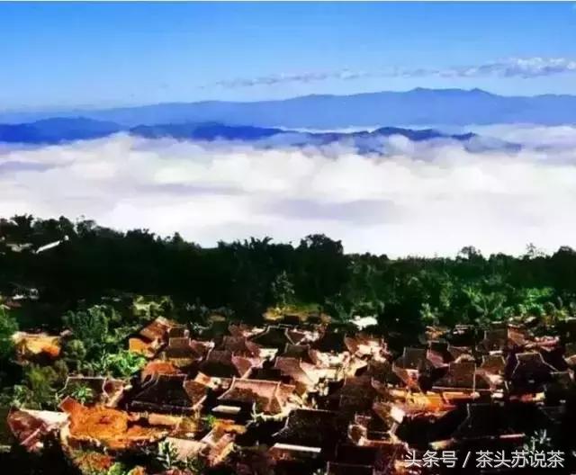 普洱山头茶价格排行,云南普洱最全30有名山头茶