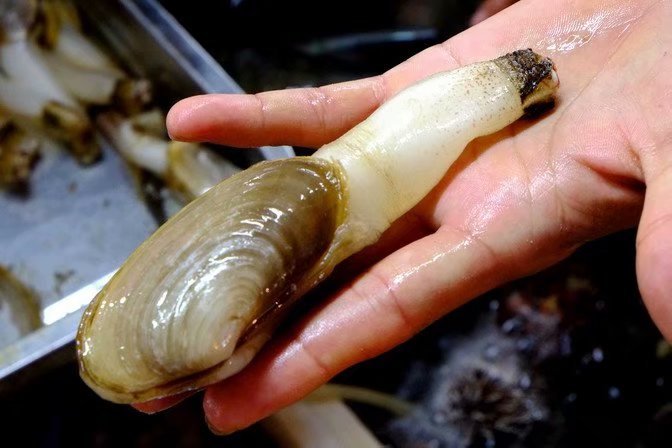 闺蜜的看海之旅，三亚自由行攻略