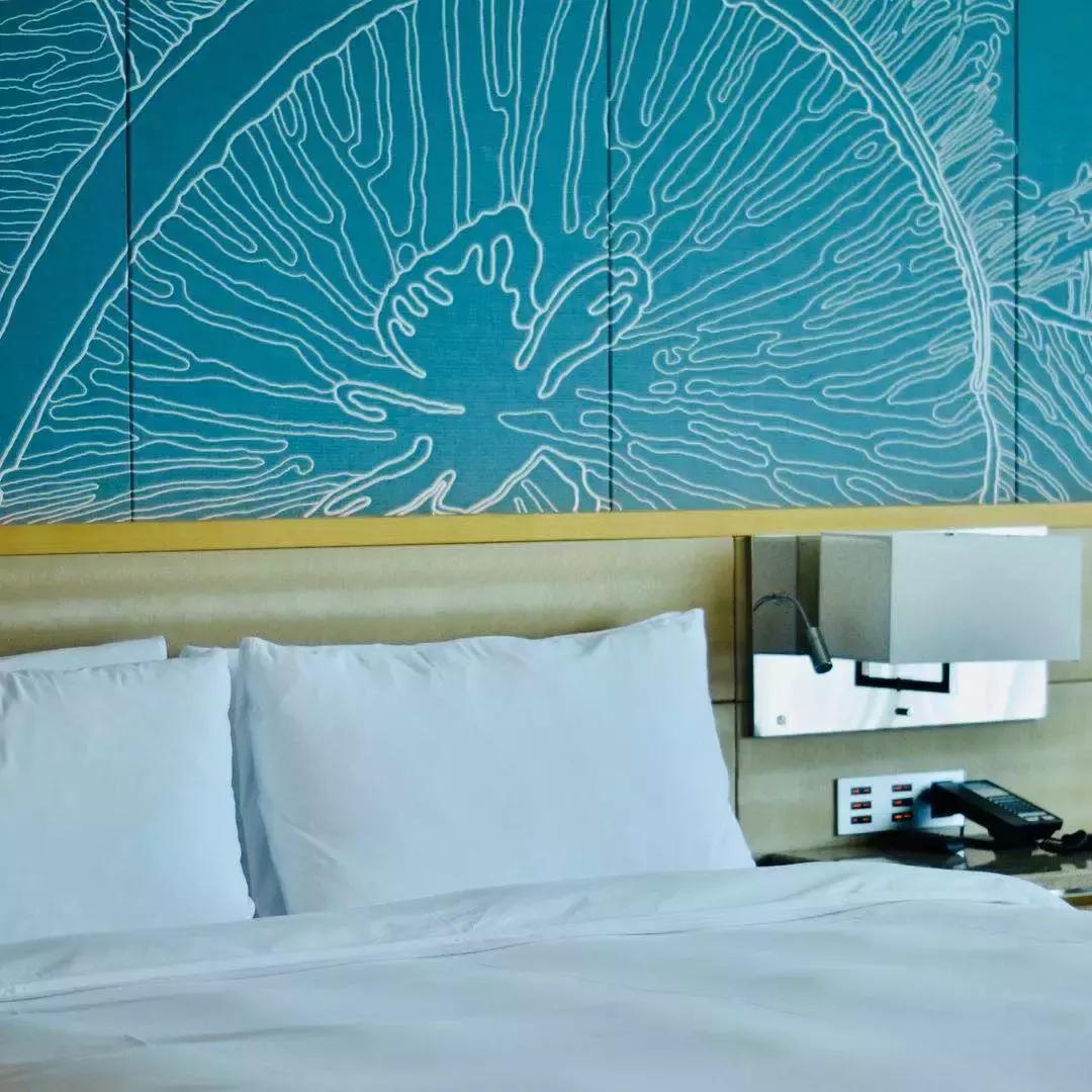 鲨鱼海豚亲子游攻略 (凤岭水世界游玩攻略)