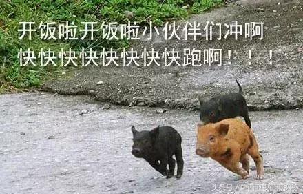 广西人吃粉是按吨算的！桂林兴安这碗米粉好吃得要紧！点进来尝尝