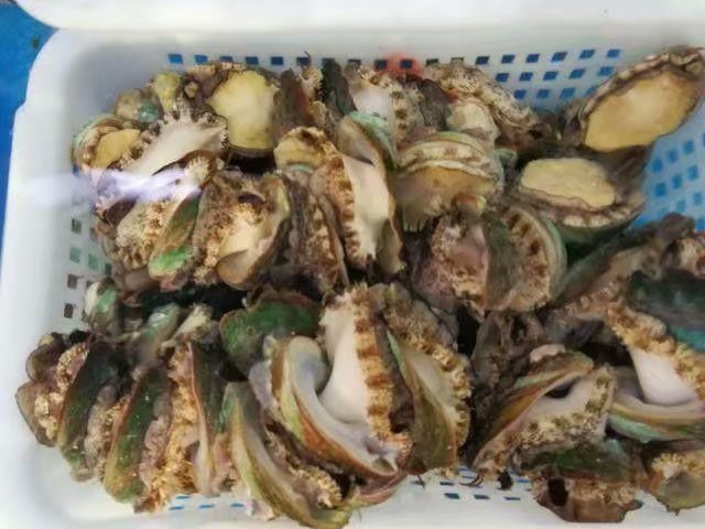 海口的特色美食有哪些,海口有哪些特色美食