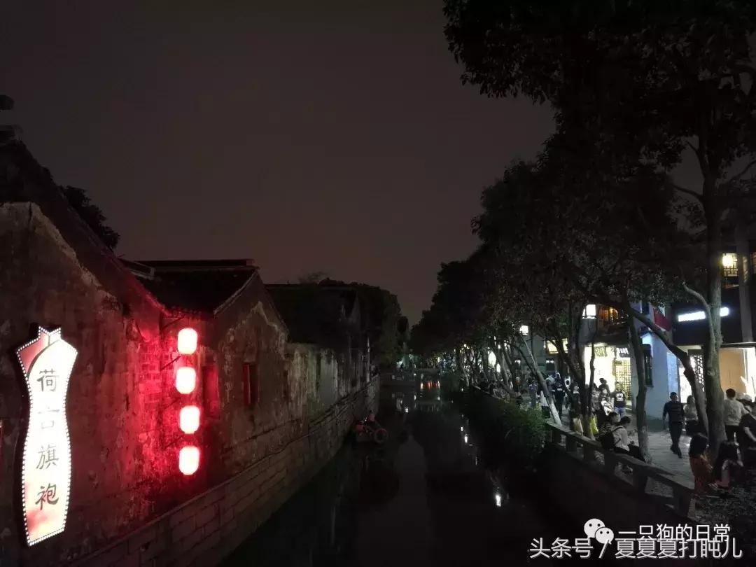 一只狗的旅游记,一只狗去洛阳旅游