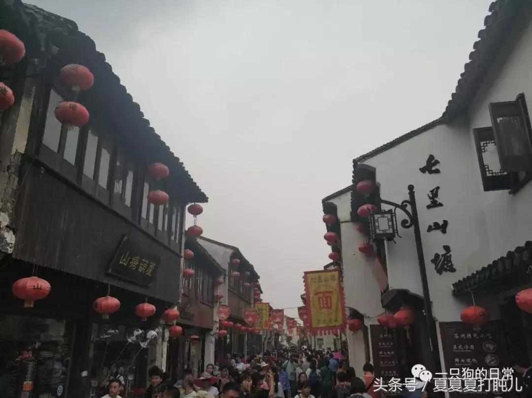 一只狗的旅游记,一只狗去洛阳旅游