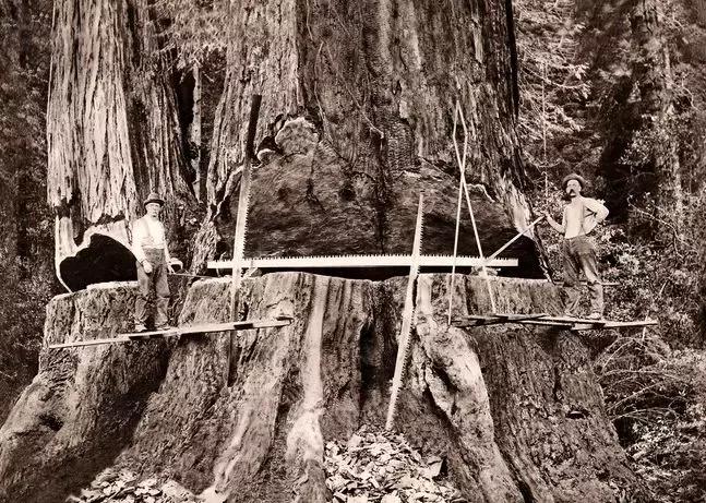 优胜美地是哪,优胜美地