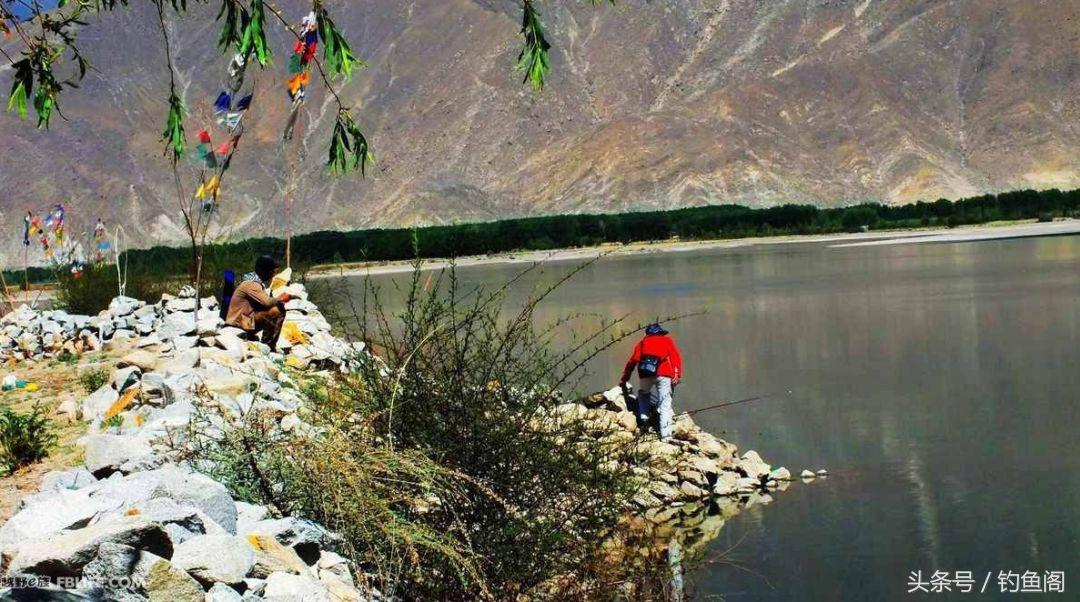 鱼总是浮在水面不动怎么钓,鱼起浮到水面了怎么钓