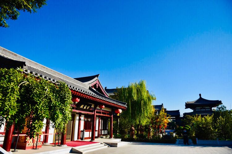 秋到上阳宫，黄叶蓝天高宫阙，皇帝都赞的美景，免费你都没去看？