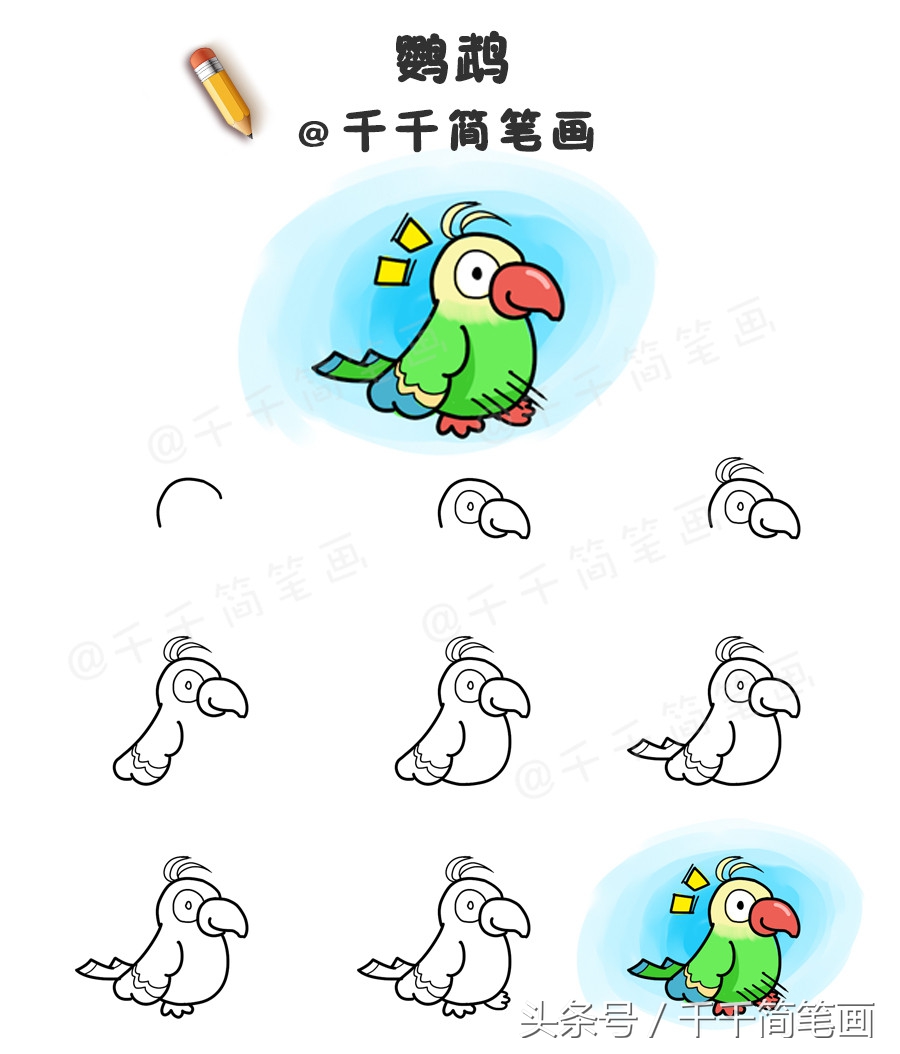 各种鸟类简笔画绘画技法大全,鸟类简笔画简单又好看