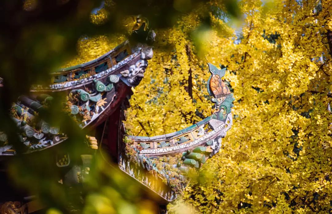 致世界文化名城成都，来自星巴克的邀请