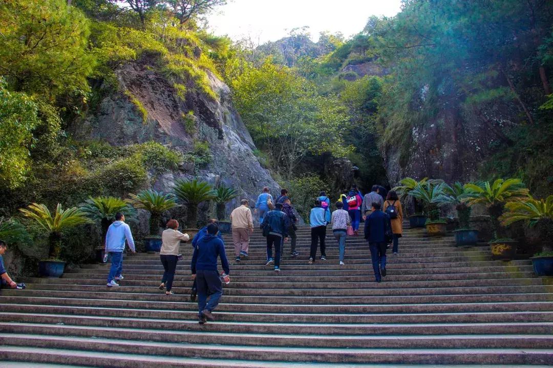 娴欐睙鍙板窞瀹濊棌鐢峰,鍙板窞瀹濊棌鐢风敓