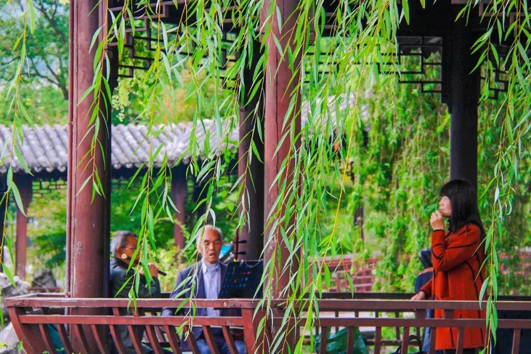 娴欐睙鍙板窞瀹濊棌鐢峰,鍙板窞瀹濊棌鐢风敓