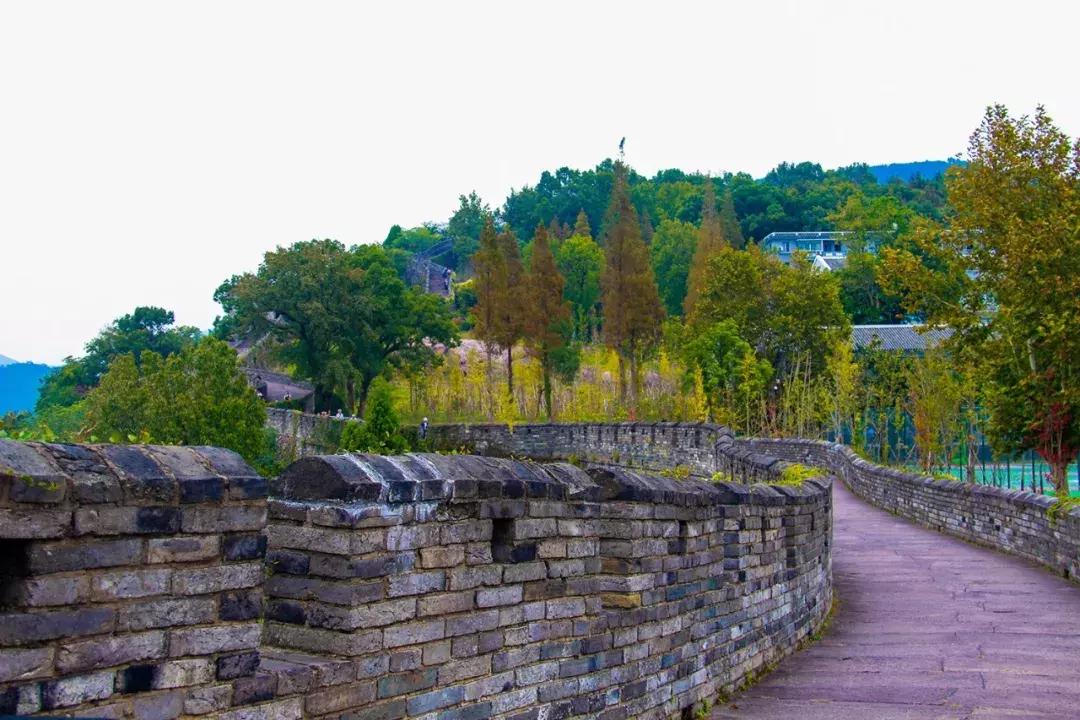 娴欐睙鍙板窞瀹濊棌鐢峰,鍙板窞瀹濊棌鐢风敓