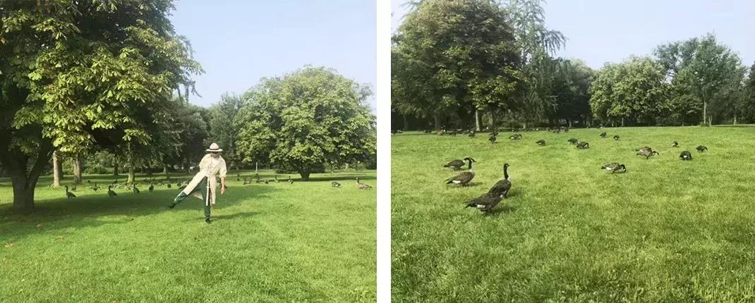 style鐜板満鐗堝浼﹀ (鐧惧彉澶氫鸡澶歴tyle)