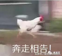 tf新品皮气垫,tf白气垫和ysl粉气垫