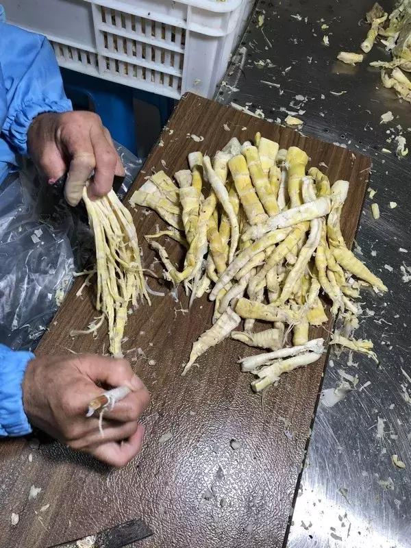 新鲜龙须笋的家常做法,龙须笋的正确食用方法