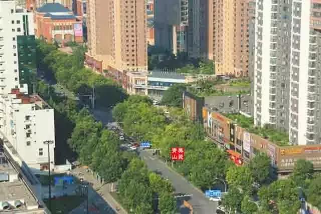 红蓝绿黑你喜欢什么色,红绿蓝清新配色