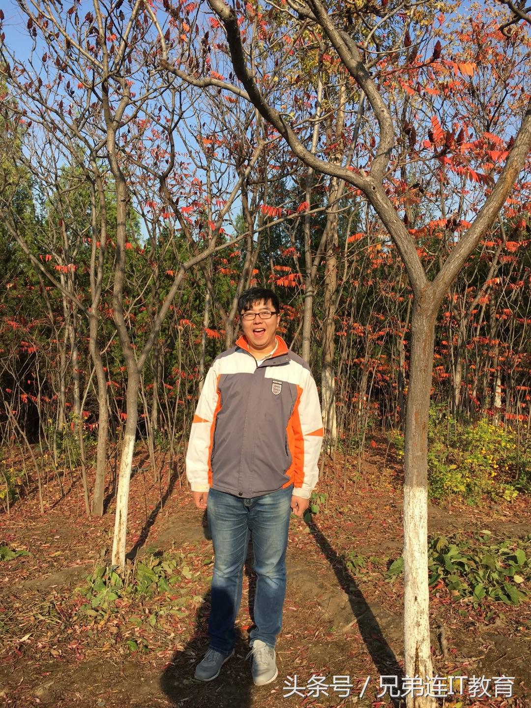 兄弟连it培训五个月累吗,兄弟连it培训入门