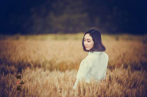 麦田里的守望者原创视频,麦田里的守望者创作的原声