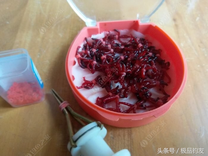 野钓红虫颗粒使用方法,冬季红虫野钓鲫鱼技巧