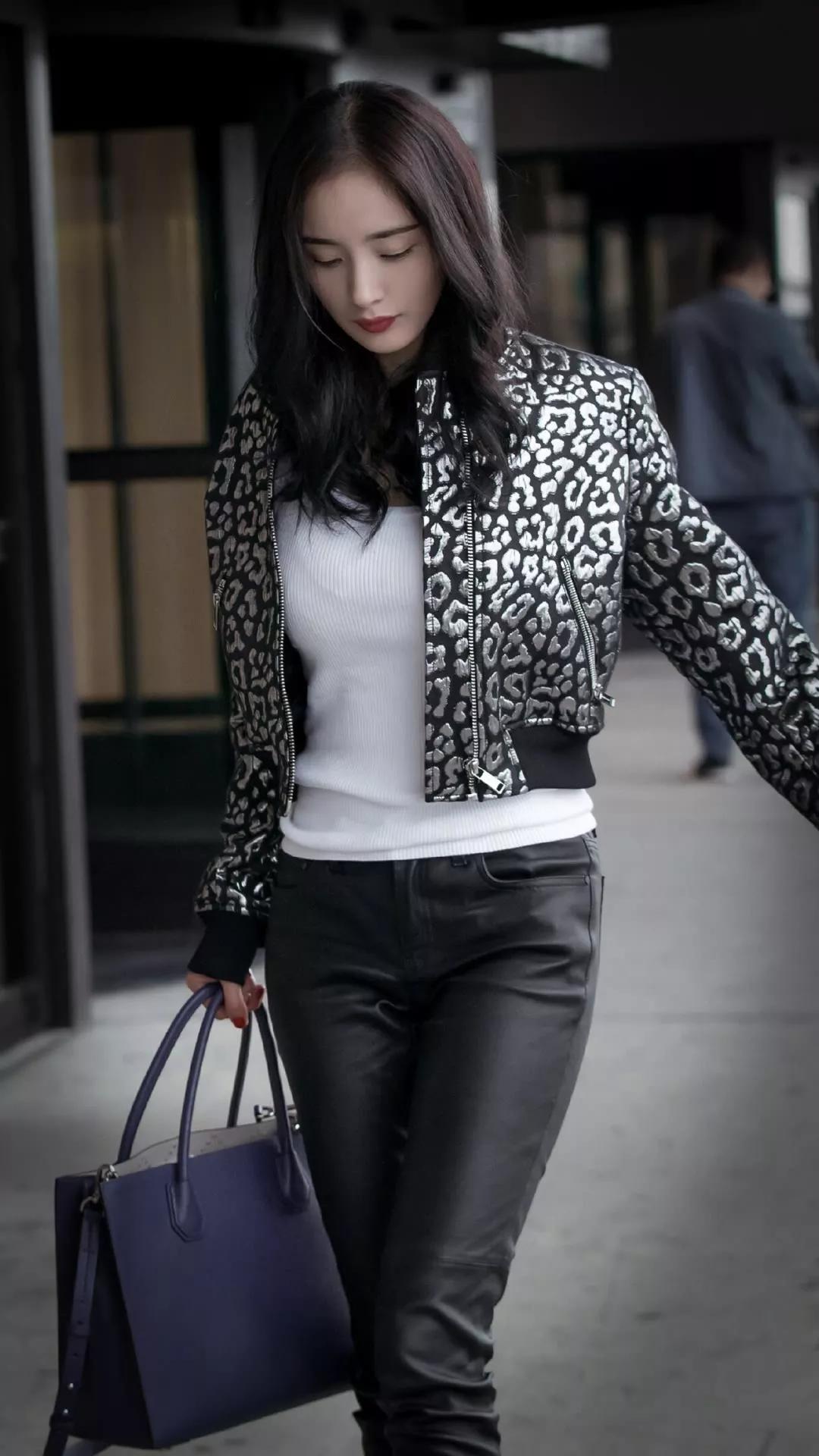 手机壁纸超清全面屏可爱猫,手机壁纸超清全屏2023最好看