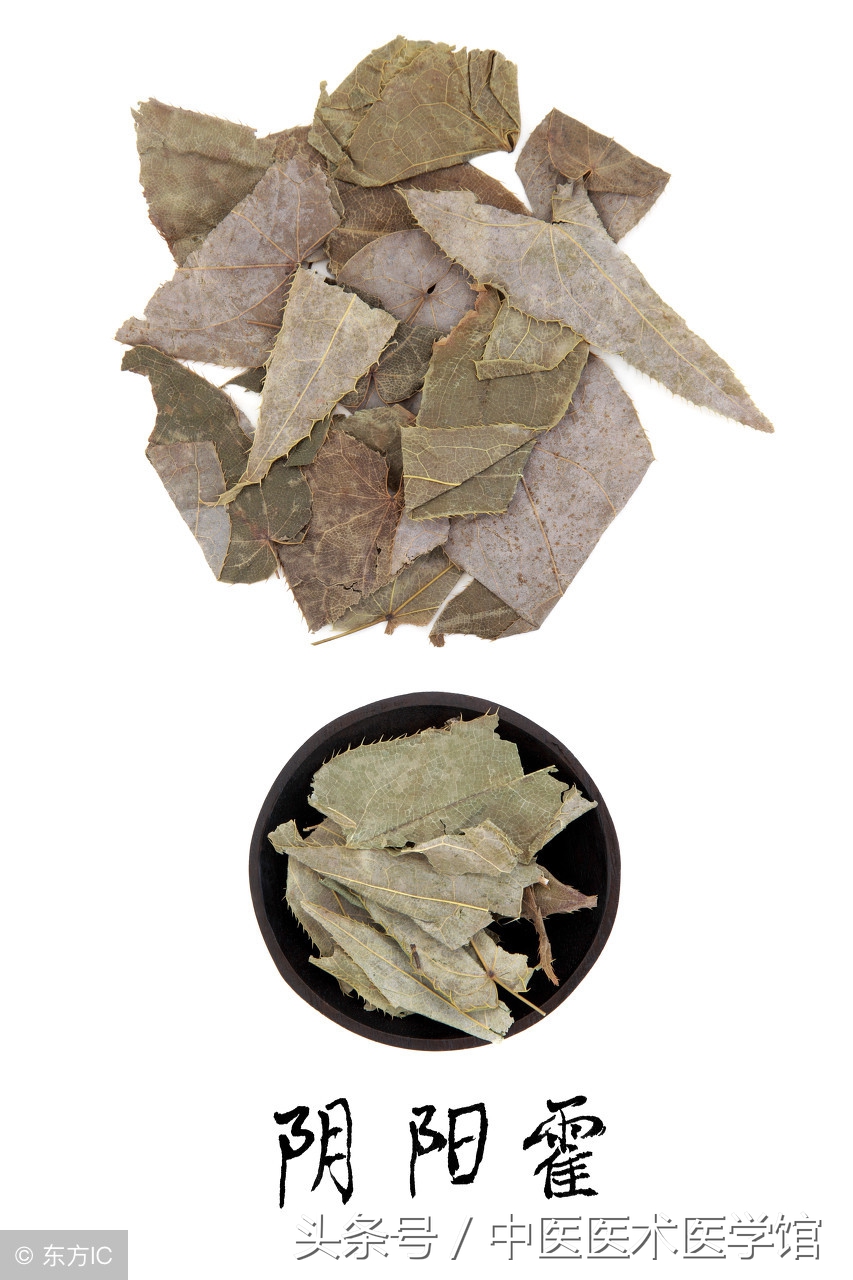 使用中成药时注意事项有哪些,中成药的使用方法大全