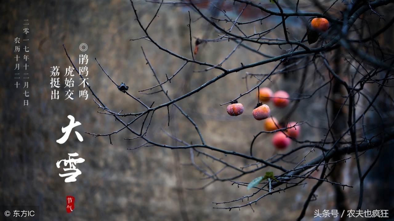大雪这个节气有什么讲究,大雪节气和下大雪有联系吗