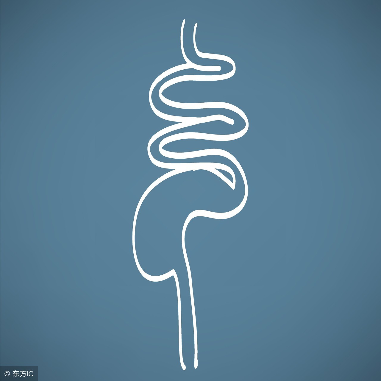 感冒吃药是不能变好的吗,感冒吃药其实并不是药的作用