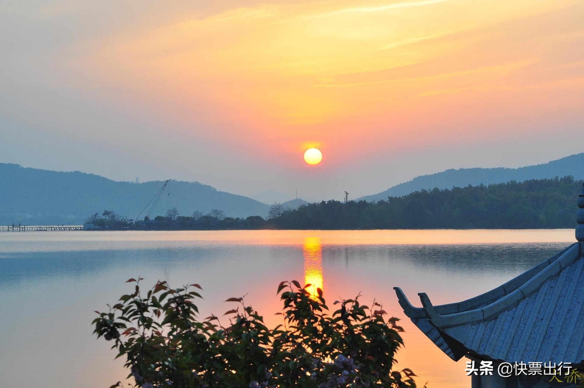 隐藏在1.2亿立方米的网红，天空视角水杉木，美酥了
