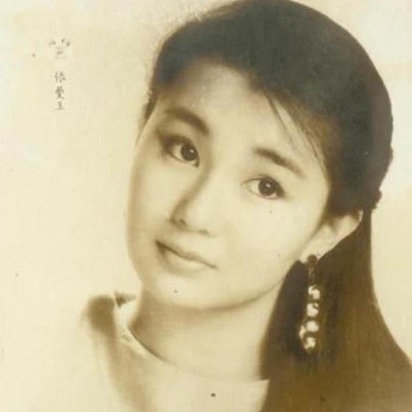 香港最漂亮的十大美女现在的样子,公认最美的香港美女