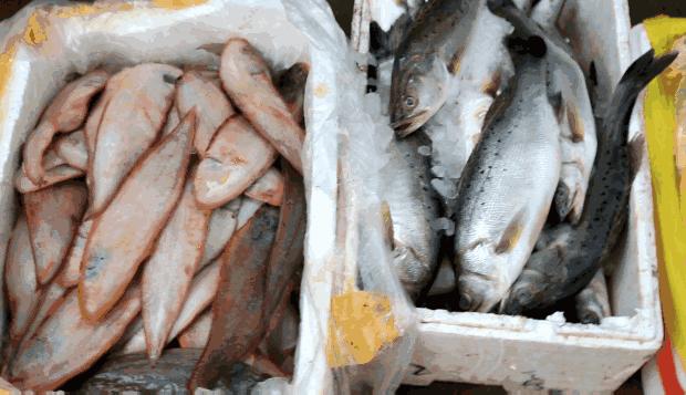 别“吃瓜”,吃海鲜!吃货们做好“时间管理”,封海将至!