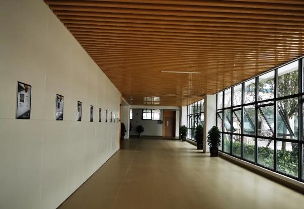 颜值冲锋，实力断后！一大批新学校曝光，太“刷脸”了